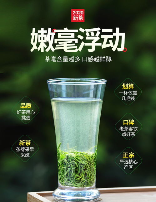 振源茶叶 信阳特产信阳毛尖100g 叶芽各半