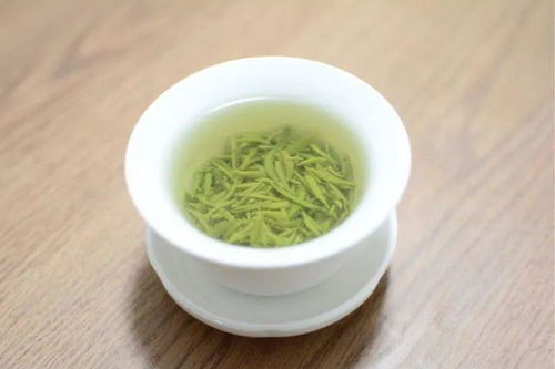 信阳毛尖春茶季 春雪入信阳,毛尖初露芽