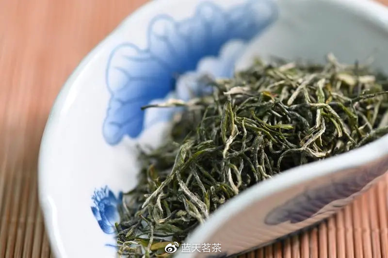 茶乡寻茶(上):探访信阳毛尖清代茶园,"寻根"毛尖起源