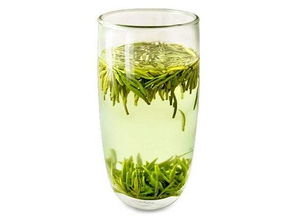 信阳毛尖的正确冲泡方法