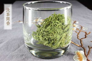 喝信阳毛尖的禁忌 这7点一定要牢记