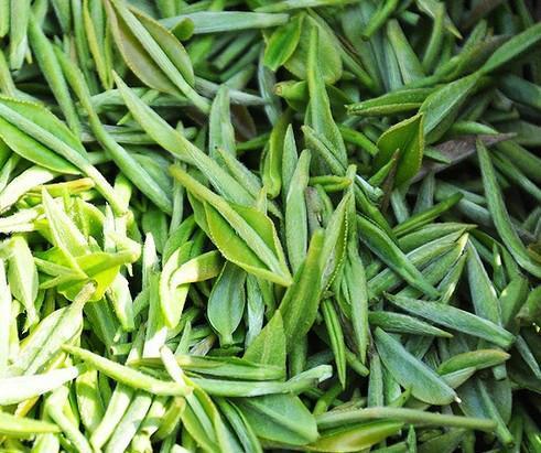 怎么辨别信阳毛尖的真假