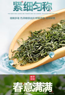 毛尖茶2019新茶茶叶绿茶信阳口味浓香250g多规格