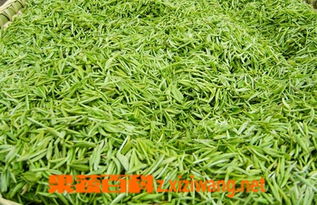 信阳毛尖的功效与作用,信阳毛尖怎么泡才好喝 果蔬百科全说