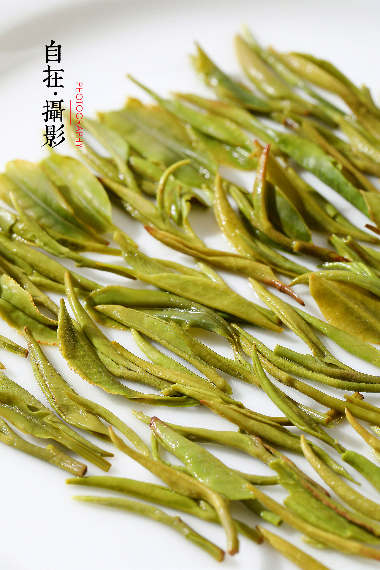 【茶品类合集】碧螺春|信阳毛尖|蜜桃茶|红豆薏米茶|摄影|产品摄影|自在视觉