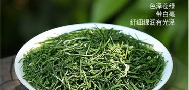 信阳毛尖上榜中国农业品牌目录,为何河南特产信阳毛尖茶叶越来越受欢迎