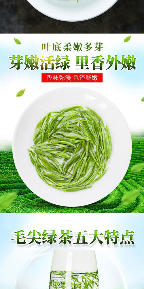 茶叶 信阳毛尖2020新茶高山绿茶雨前春茶叶多规格