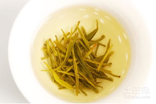 信阳毛尖选购与鉴别指南