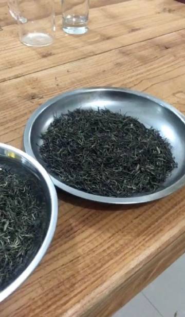 信阳毛尖 茶中珍品的千年韵味