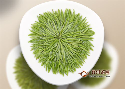 毛尖与信阳毛尖 绿茶的精华代表
