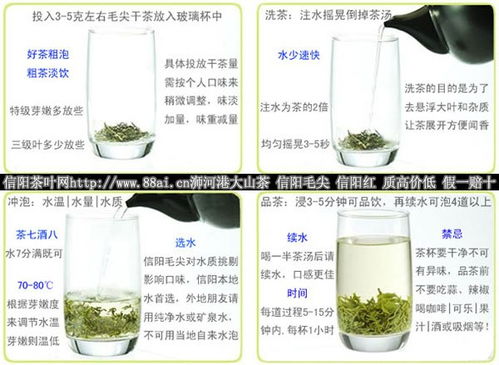 百说不厌的信阳毛尖 产品特性、鉴别与冲泡技巧