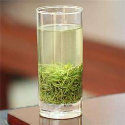 信阳毛尖认知有误区，你入坑了吗？