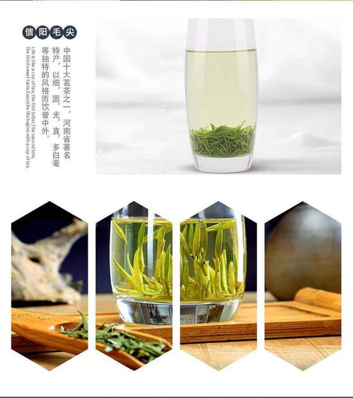 水西林季王信阳毛尖 品味2021春之馈赠