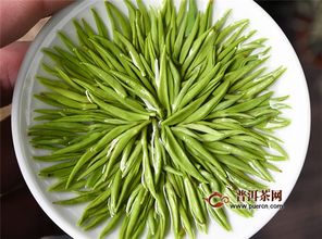 信阳毛尖 中原大地的翠色精灵