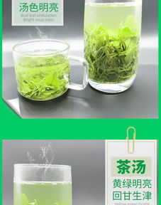 信阳毛尖 一缕茶香里的春天