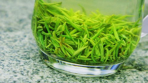 品味信阳毛尖的艺术 正确冲泡，方能尽显清香